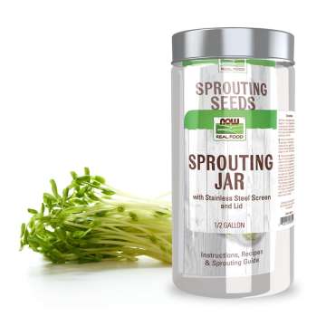 Sprouting Jar