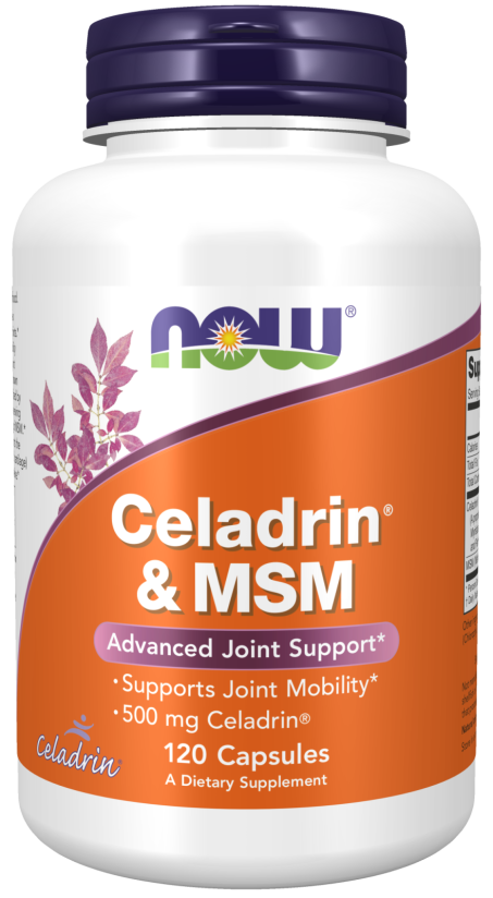 Celadrin® & MSM 500 mg - 120 Capsules Bottle Front