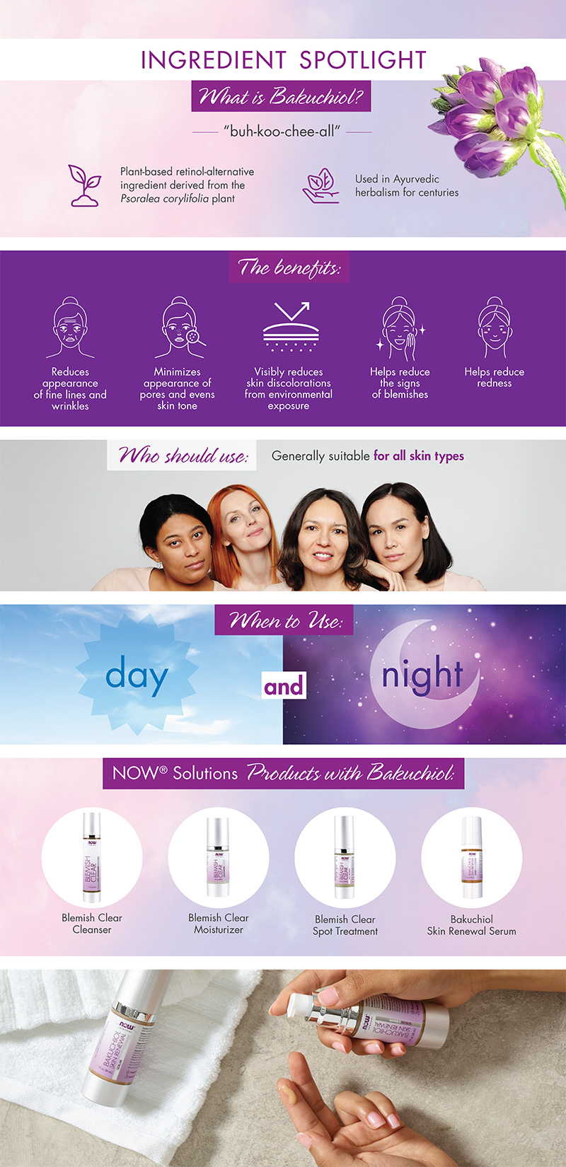 infographic explaining the use of Bakuchiol on lavender and purple background