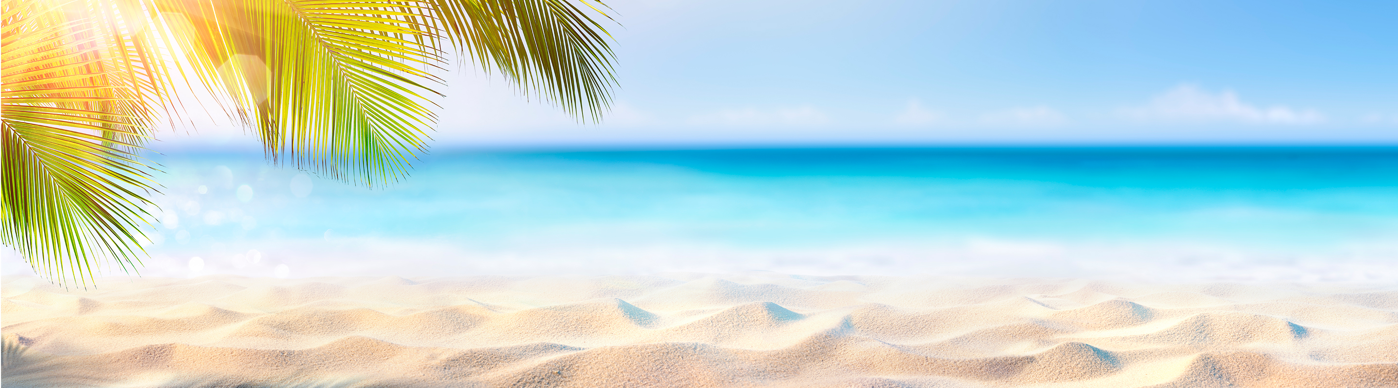 blue water and sandy beach with palm leaves peaking in over the water