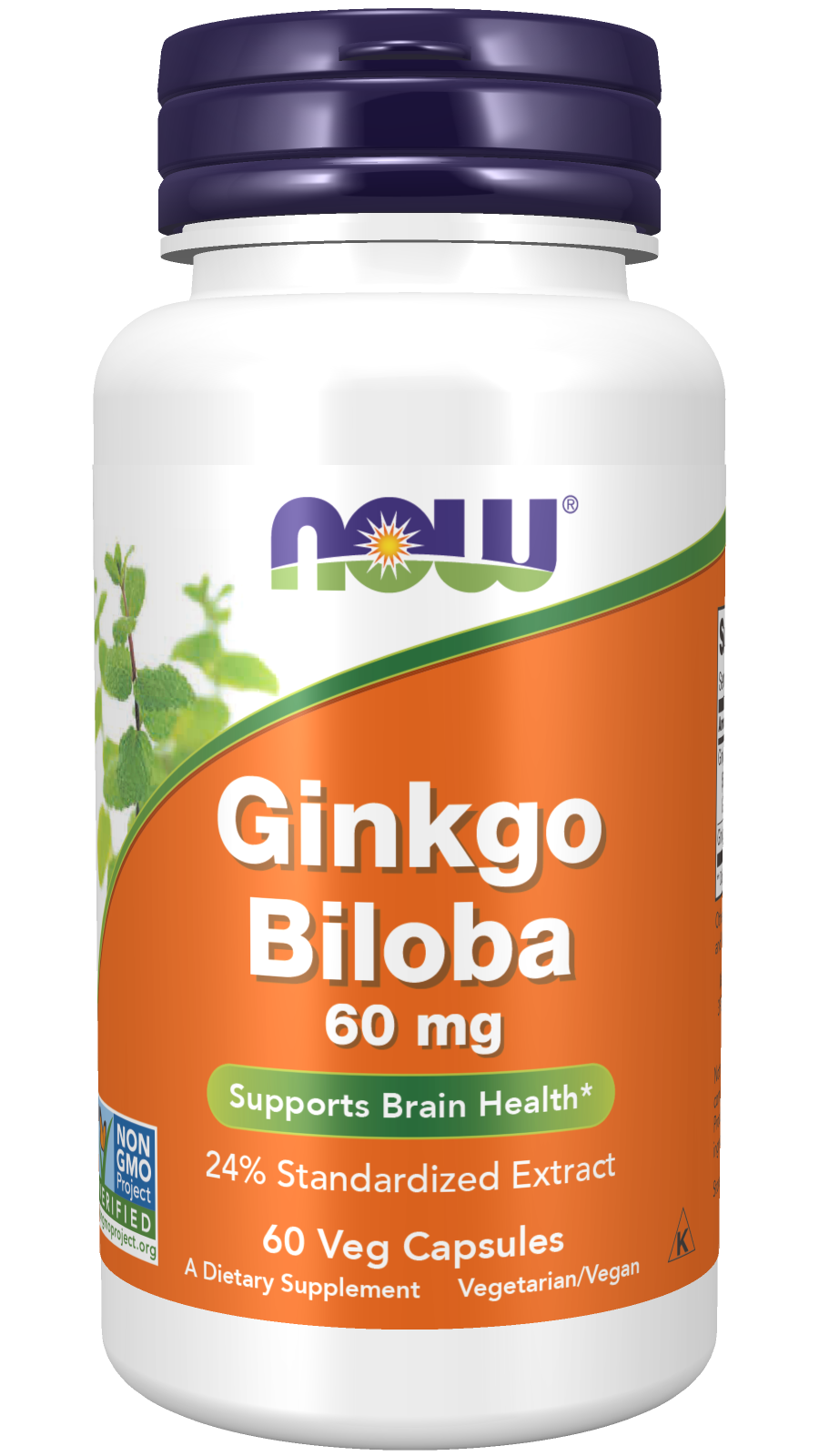 Ginkgo Biloba 60 mg - 60 Veg Capsules Bottle Front