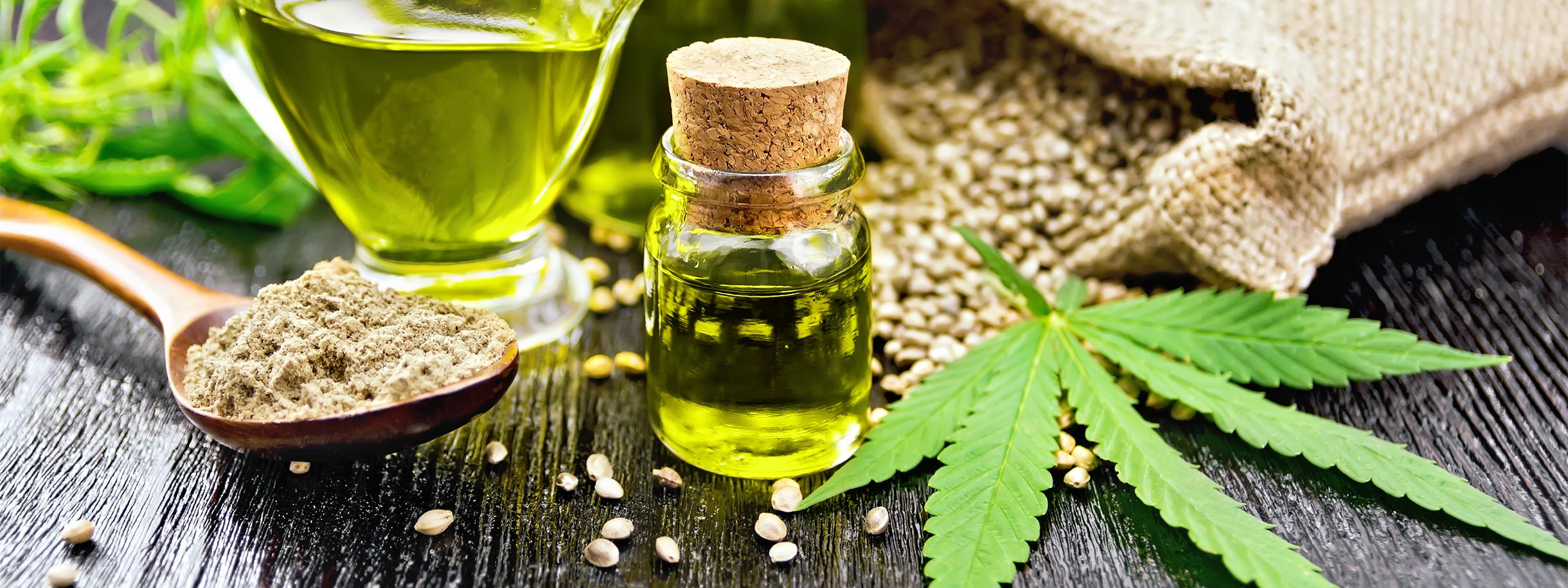 image of Hemp seeds, powder, oil and plant