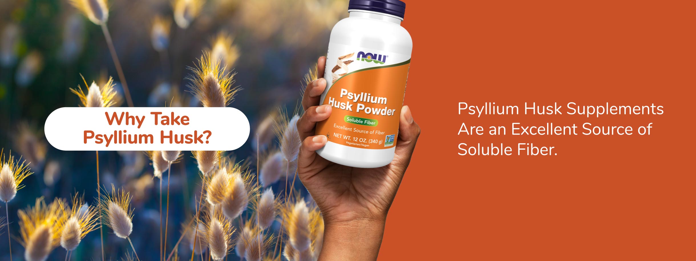 Why Take Psyllium Husk? Psyllium Husk Supplements Are an Excellent Source of Soluble Fiber.