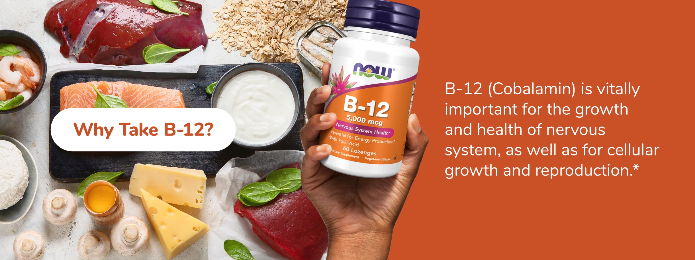 Why Take B-12? B-12 (Cobalamin) is vitally important for the growth and health of nervous system, as well as for cellular growth and reproduction.*