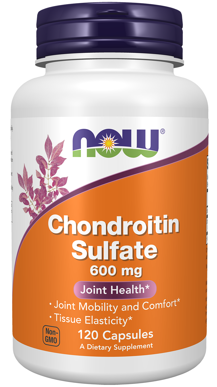 Chondroitin Sulfate 600 mg - 120 Capsules Bottle Front