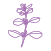 MARJORAM Icon