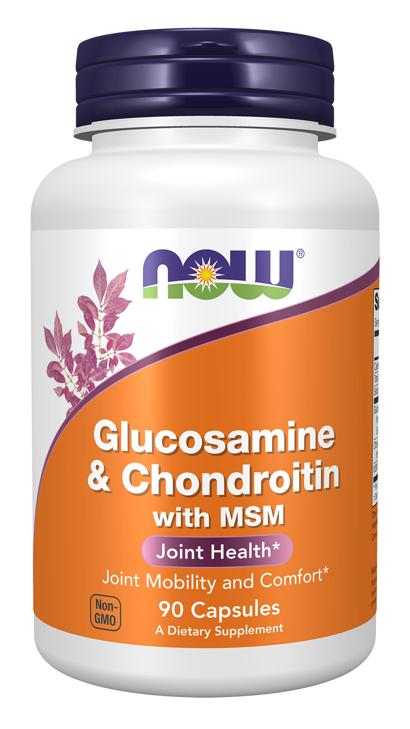 Glucosamine & Chondroitin with MSM - 90 Veg Capsules Bottle Front