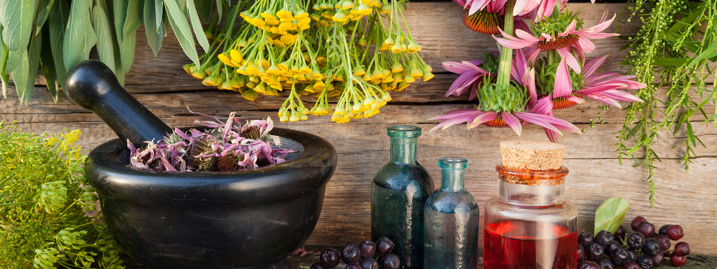 More About Aromatherapy and Essential Oils