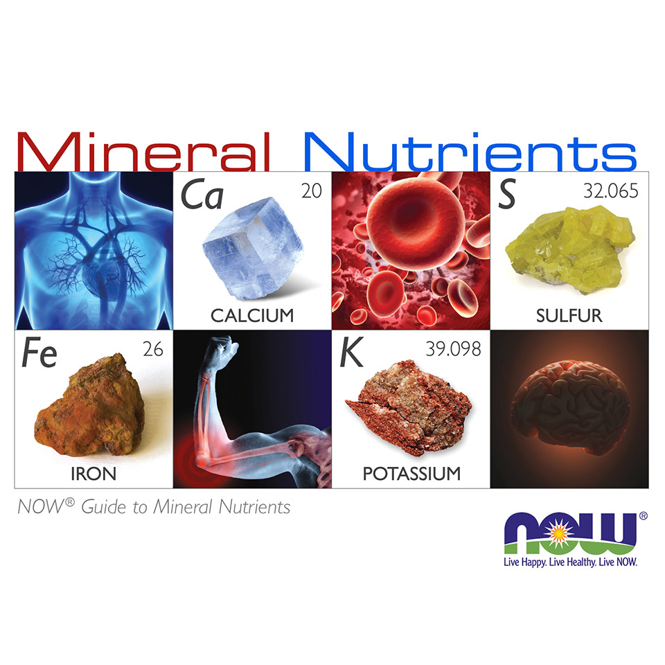 major-minerals-vs-minor-minerals-z-plus-health