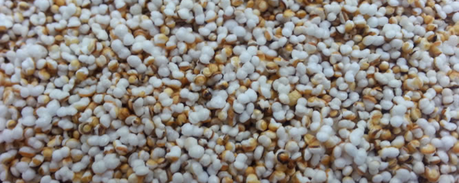 A closeup of Popped Amaranth Parmesan, which looks very similar to popcorn.