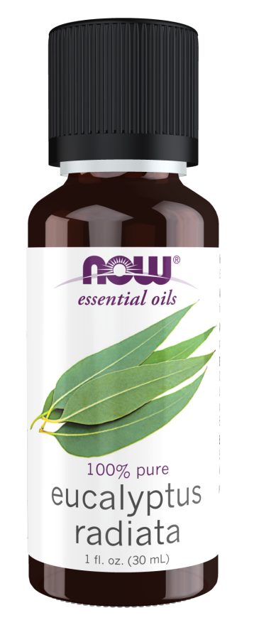 Eucalyptus Radiata Oil - 1 fl. oz. Bottle Front