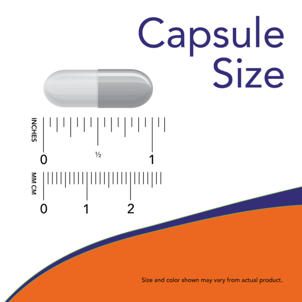 Magnesium Transporters - 180 Veg Capsules Size 1 inch