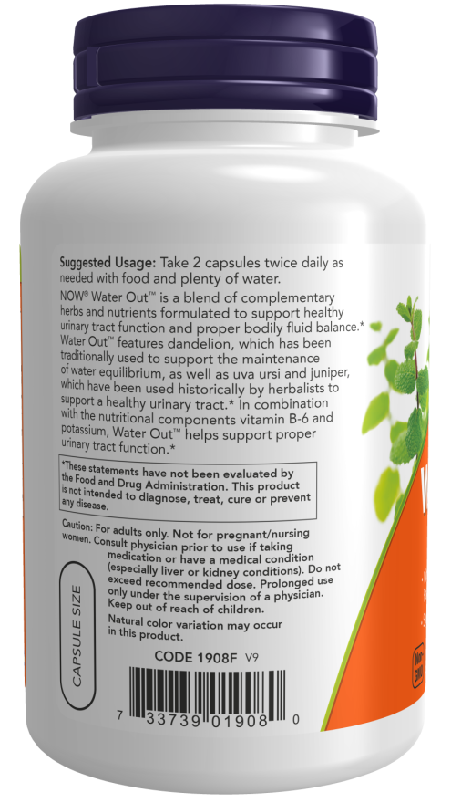 Now Foods Thermo Green Tea Extra Strength Veg Capsules - Capsules Green Tea