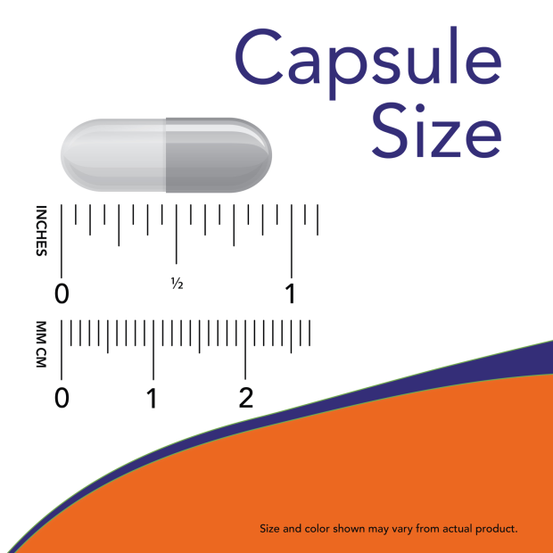 Boswellia Extract 250 mg - 120 Veg Capsules Size Chart .875 inch