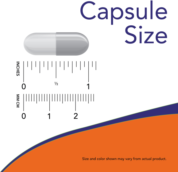 L-Lysine 500 mg - 100 Veg Capsules Size Chart 1 inch