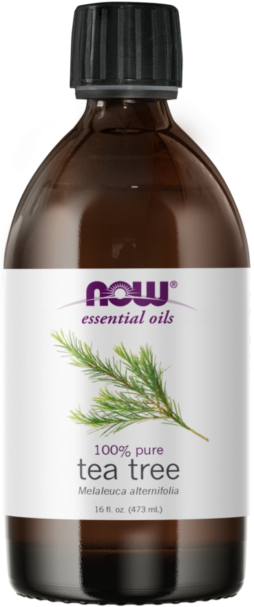 Now Tea Tree Essential Oil is available in 30ml size - كوينز كير