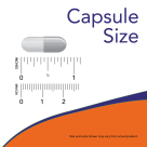 Taurine 500 mg - 100 Veg Capsules Size Chart .875 inch