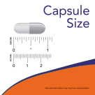 Vitamin B-100 - 100 Veg Capsules Size Chart .875 inch