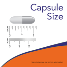 Cal-Mag DK - 180 Capsules Size Chart 1 inch