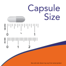 Serrapeptase - 60 Veg Capsules Size Chart .625 inch
