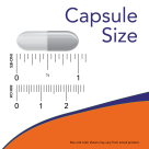 Indole-3-Carbinol (I3C) 200 mg - 60 Veg Capsules Size Chart 1 inch