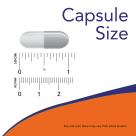 Glucosamine & MSM (Vegetarian) - 120 Veg Capsules Size Chart 1 inch