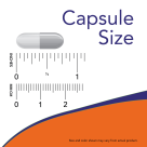Zinc Picolinate 50 mg - 60 Veg Capsules Size  Chart .75 inch