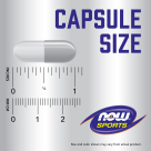 HMB 500 mg - 120 Veg Capsules Size Chart 1 inch