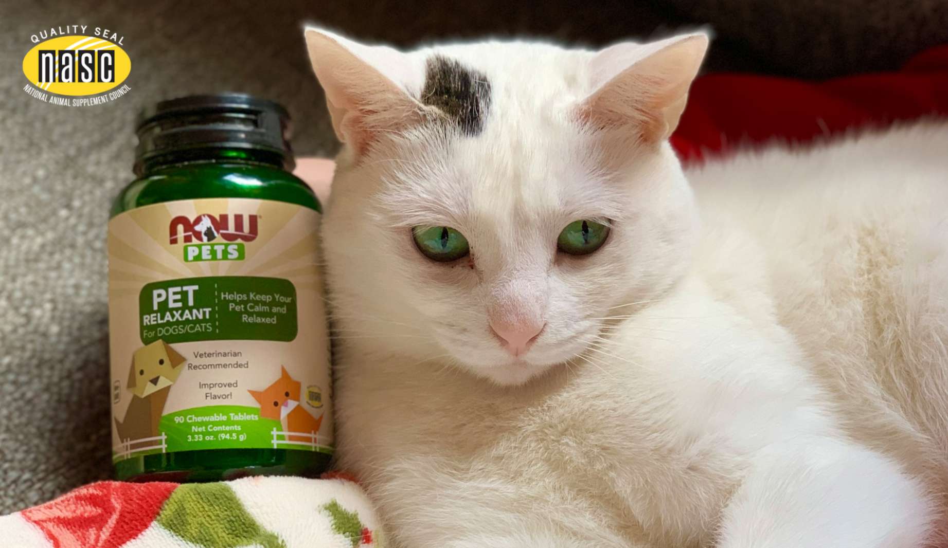 cat protein supplement