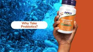 Why Take Probiotics?