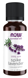 Spike Lavender Oil - 1 fl. oz. Bottle Front