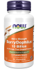 BerryDophilus™ Extra Strength 10 Billion - 50 Chewables Bottle Front