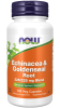 Echinacea & Goldenseal Root - 100 Veg Capsules Bottle Front