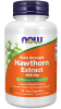 Hawthorn Extract 600 mg, Extra Strength - 90 Veg Capsules Bottle Front