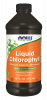 Liquid Chlorophyll - 16 oz. Bottle Front