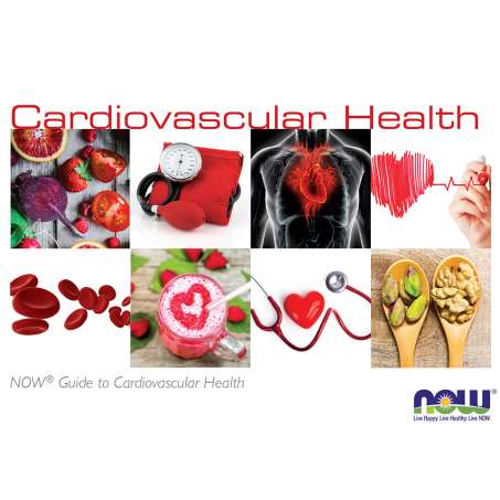 Eight squares with a lot of red depicting the heart such as red foods, a blood pressure cuff, blood platelets, a stethoscope, nuts and seeds