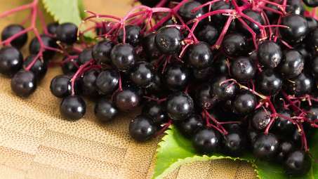 deep purple/red cluster of berries on a wood counter top