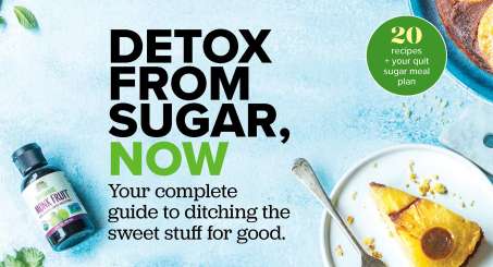 detox from sugar guide thumbnail - plate of cheesecake, bottle of liquid monk fruit on light blue background