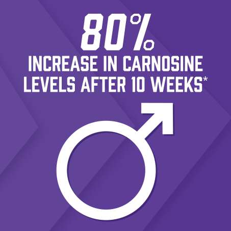 80% Increase in Carnosine Levels After 10 Weeks. Purple background with white Male Icon