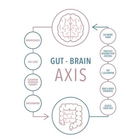 Gut-Brain Axis. Arrow from Brain to Intestines with bubbles reading Mindfulness, Self Care, Cognitive Behavior Therapy, Breathwork. Arrow from Intestines to Brain bubbles reading Assess your diet, Take a daily probiotic, Try L-Glutamine, Practice Intermittent Fasting, and Eat more fiber. 