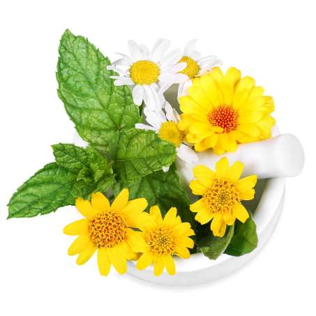 mortar and pestle with arnica flowers, calendula flower and mint