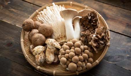 basket with a variety of mushrooms
