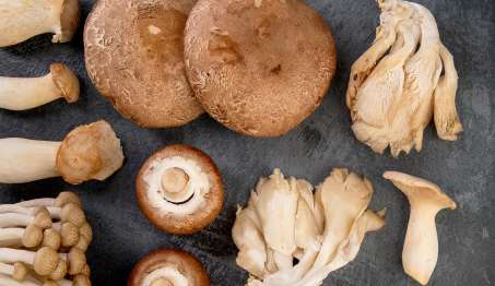 different types of mushrooms