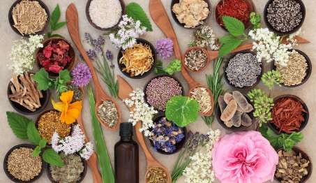 Assortment of all natural herbs, roots, flowers, plants and seeds. 