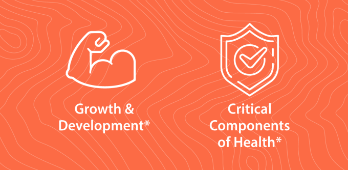 Growth &Development* Critical Components of Health*
