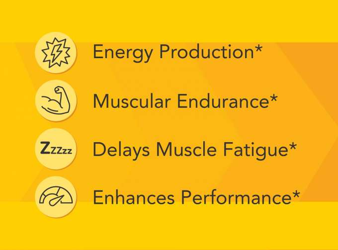 Energy Production* Muscular Endurance* Delays Muscle Fatigue* Enhances Performance*