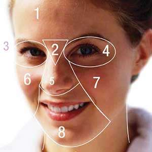 A diagram segmenting different parts of a human face into facial zones, denoted by numbers.