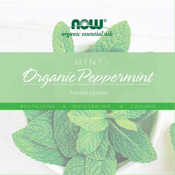 mint peppermint infographic thumb