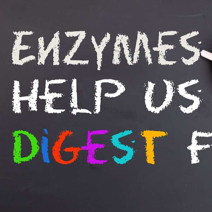 A person offscreen writes using white chalk on a chalkboard. The text states: "Enzymes help us diges