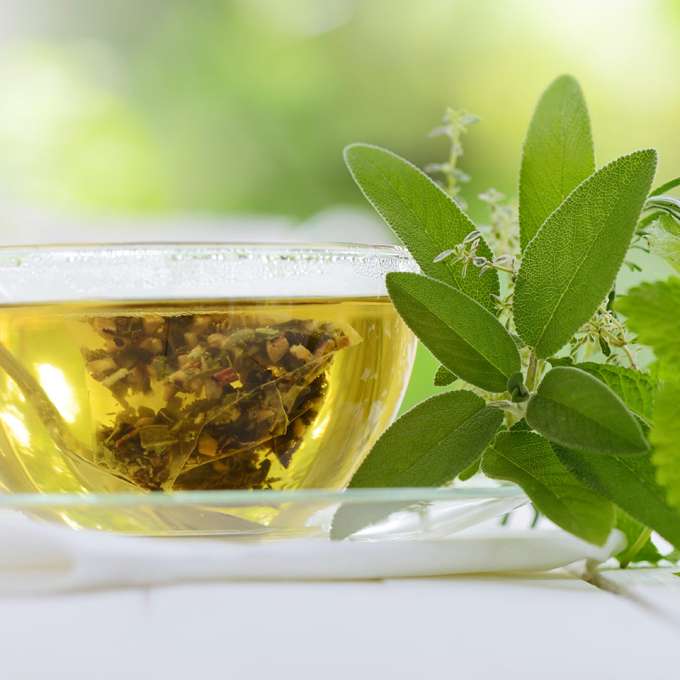 A glass teacup sitting on a glass platter is filled with green tea. Several leafy greens are also pl